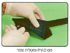 (בספר תמונה, היעזר במנחה)